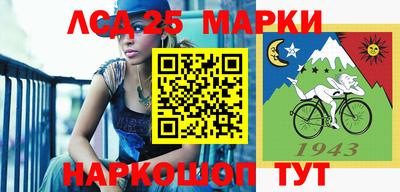 индика Партизанск