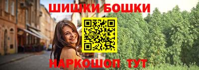 индика Партизанск