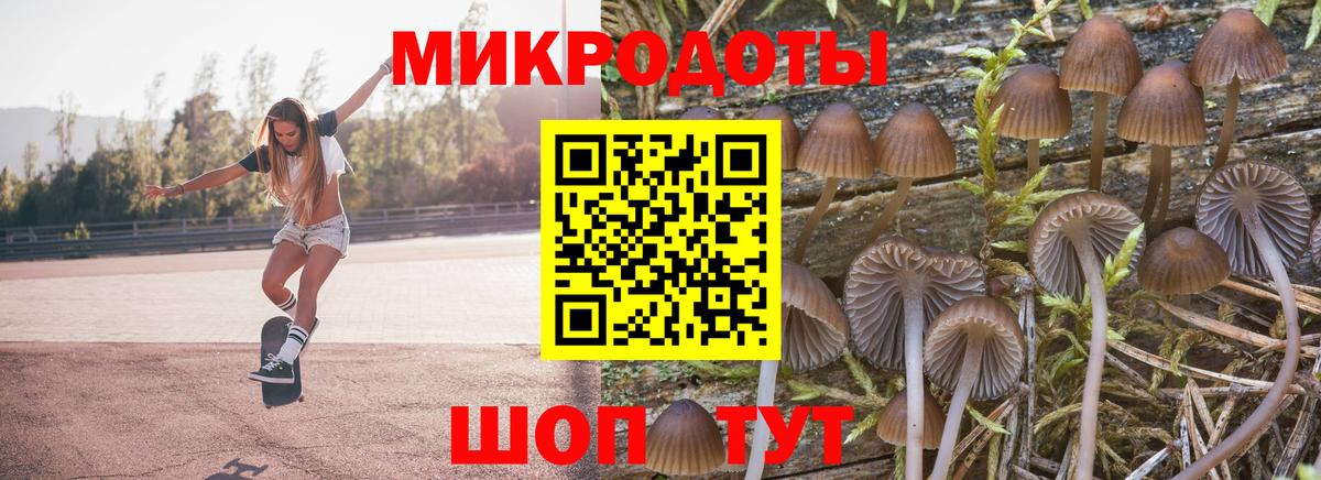 купить закладку  Вход с VPN  Галлюциногенные грибы Magic Shrooms  Семёнов  Псилоцибиновые грибы ЛСД 